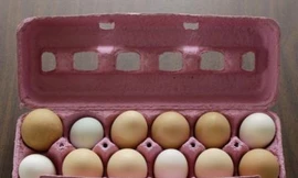 Ảnh minh hoạ: Internet