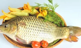 Ảnh minh họa: Internet