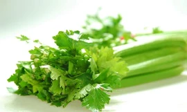 Ảnh minh hoạ: Internet