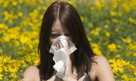 Ảnh minh họa: Internet