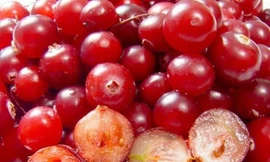 Ảnh minh họa: Internet