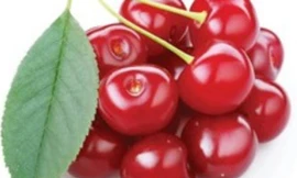 Ảnh minh họa: Internet