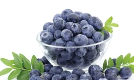 Ảnh minh họa: Internet