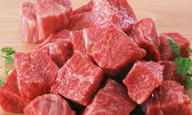 Ảnh minh hoạ: Internet