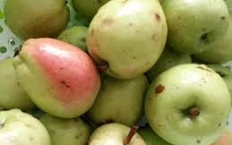 Ảnh minh hoạ: Internet