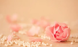 Ảnh minh họa: Internet