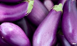 Ảnh minh họa: Internet