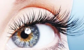 Ảnh minh họa: Internet