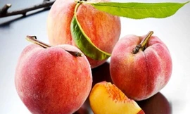 Ảnh minh họa: Internet