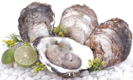 Ảnh minh hoạ: Internet