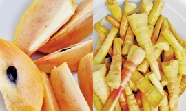 Ảnh minh hoạ: Internet