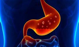 Ảnh minh họa: Internet