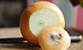 Ảnh minh họa: Internet