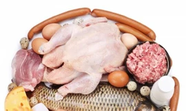 Ảnh minh hoạ: Internet