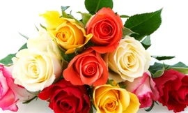 Ảnh minh hoạ: Internet