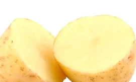 Ảnh minh họa: Internet