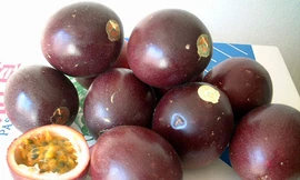 Ảnh minh họa: Internet