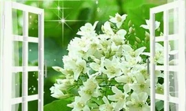 Ảnh minh họa: Internet