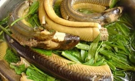 Ảnh minh họa: Internet