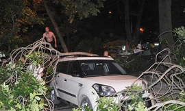 Người dân thu dọn cành cây gãy đổ