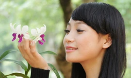 Kết bạn