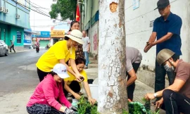 Không chỉ dọn rác, người dân còn trồng cây để tạo mảng xanh cho khu dân cư