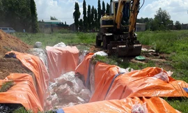 Đồng Nai đang thiếu kinh phí hỗ trợ người chăn nuôi tiêu hủy lợn bệnh 