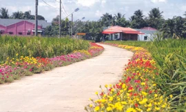 Một làng nông thôn mới ở Mỹ Tú, Sóc Trăng 