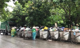 Rác ngập đường phố 