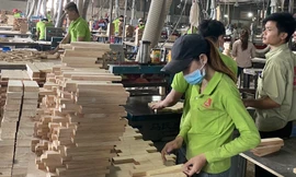 Nhiều DN ngành gỗ đang kêu cứu khi bị áp thuế vô lý từ mức 0% lên 25%. Ảnh: Bình Phương