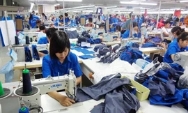 Nhiều tiêu chuẩn về xuất xứ hàng hóa và cạnh tranh sẽ gay gắt hơn khi CPTPP chính thức có hiệu lực với Việt Nam từ tháng 1/2019 Ảnh: Như Ý