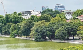 Dự án cải tạo và chỉnh trang hồ Hoàn Kiếm được các chuyên gia trong nước, quốc tế đánh giá cao khi vẫn giữ được những “đặc sản” nổi trội của hồ Hoàn Kiếm đã có hàng trăm năm trước Ảnh: Duy Phạm