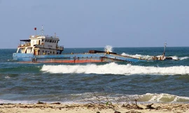 Tàu chở than bị chìm, 14 thuyền viên được cứu sống