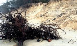 Bờ biển xã Phú Thuận bị sóng xâm thực nghiêm trọng 