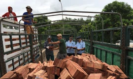 Gỗ nhập khẩu vào Việt Nam tập kết tại các cửa khẩu biên giới Ảnh minh họa: Tuấn Nguyễn 