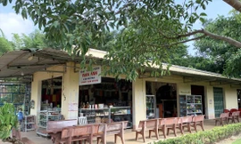 Dãy nhà xây không phép trong KDL thác Voi 