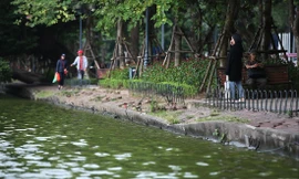 Giáo sư Hoàng Đạo Kính khuyến cáo việc cải tạo phải giữ được đường cong tự nhiên của bờ hồ Gươm Ảnh: Hoàng Mạnh Thắng