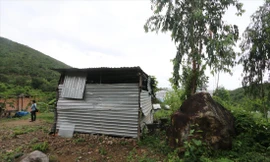 Nhiều người dân xóm Núi đang phải dựng nhà tạm để ở tại khu vực từng sạt lở Ảnh: Lữ Hồ