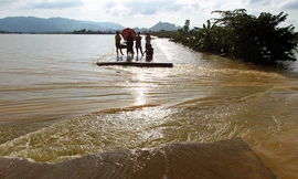 Vỡ đê bao, hàng trăm héc ta cây ăn trái chìm trong nước