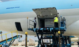 Lô vắc-xin COVID-19 với 117.000 liều đã về đến Việt Nam và sau khoảng 1 tuần kiểm định chất lượng, sẽ được tiêm cho đối tượng ưu tiên trước. Ảnh: L.N