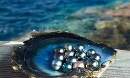 Ảnh minh họa: Internet