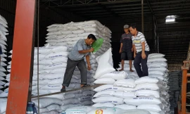 Kinh doanh gạo ở Ðồng Bằng sông Cửu Long Ảnh: C Kỳ 