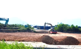 Ảnh minh họa: Internet