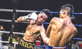 Võ sỹ Trần Văn Thảo (trái) ấp ủ kế hoạch tranh đai vô địch IBA thế giới 