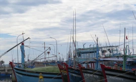 Hàng nghìn tàu cá có nguy cơ tạm nằm bờ do chưa lắp đặt thiết bị giám sát hành trình theo quy định Ảnh: Bình Phương