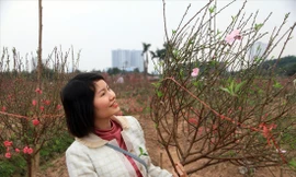 Rước Xuân về nhà. Ảnh: N.M.Hà