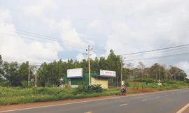 Ông Nguyễn Thanh Sơn được huyện Đắk Song đề xuất cấp sổ đỏ trên đất rừng ở xã Trường Xuân