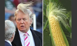 Mái tóc “kỳ quặc” của ông Donald Trump
