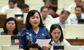 ​ ÐBQH Nguyễn Thị Mai Hoa (Ðồng Tháp) đề nghị bổ sung hình phạt lao động công ích đối với một số trường hợp vi phạm hành chính