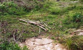 Con suối này ở xã Phú Vinh, huyện A Lưới, tỉnh Thừa Thiên – Huế đã không còn nước 